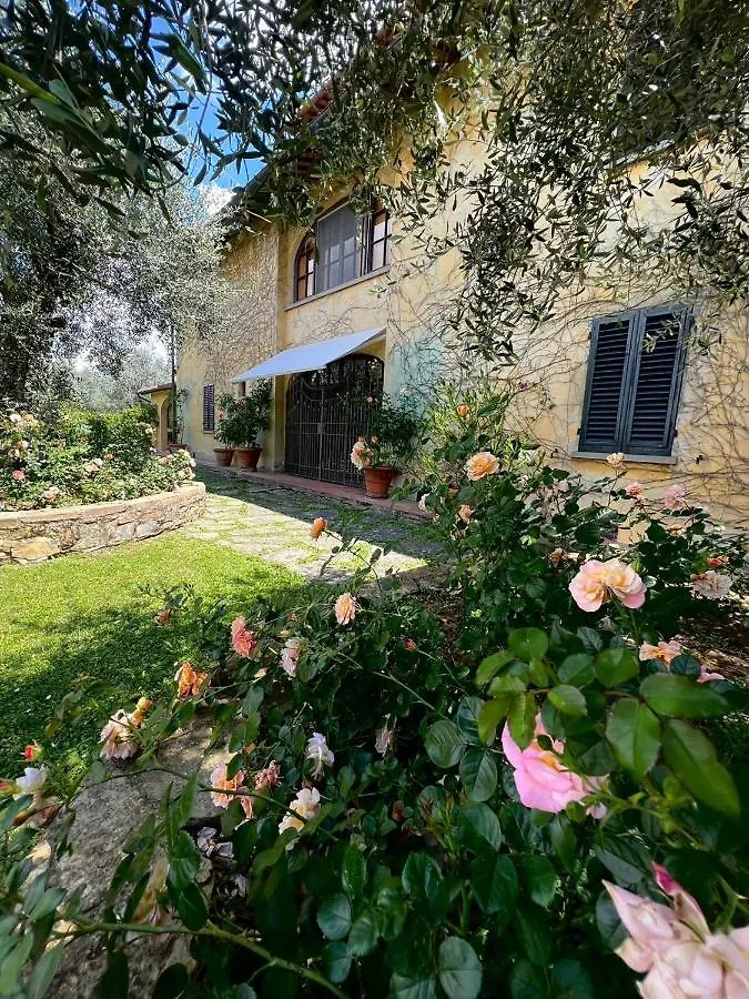 Villa Giotto Florence Pozzolatico