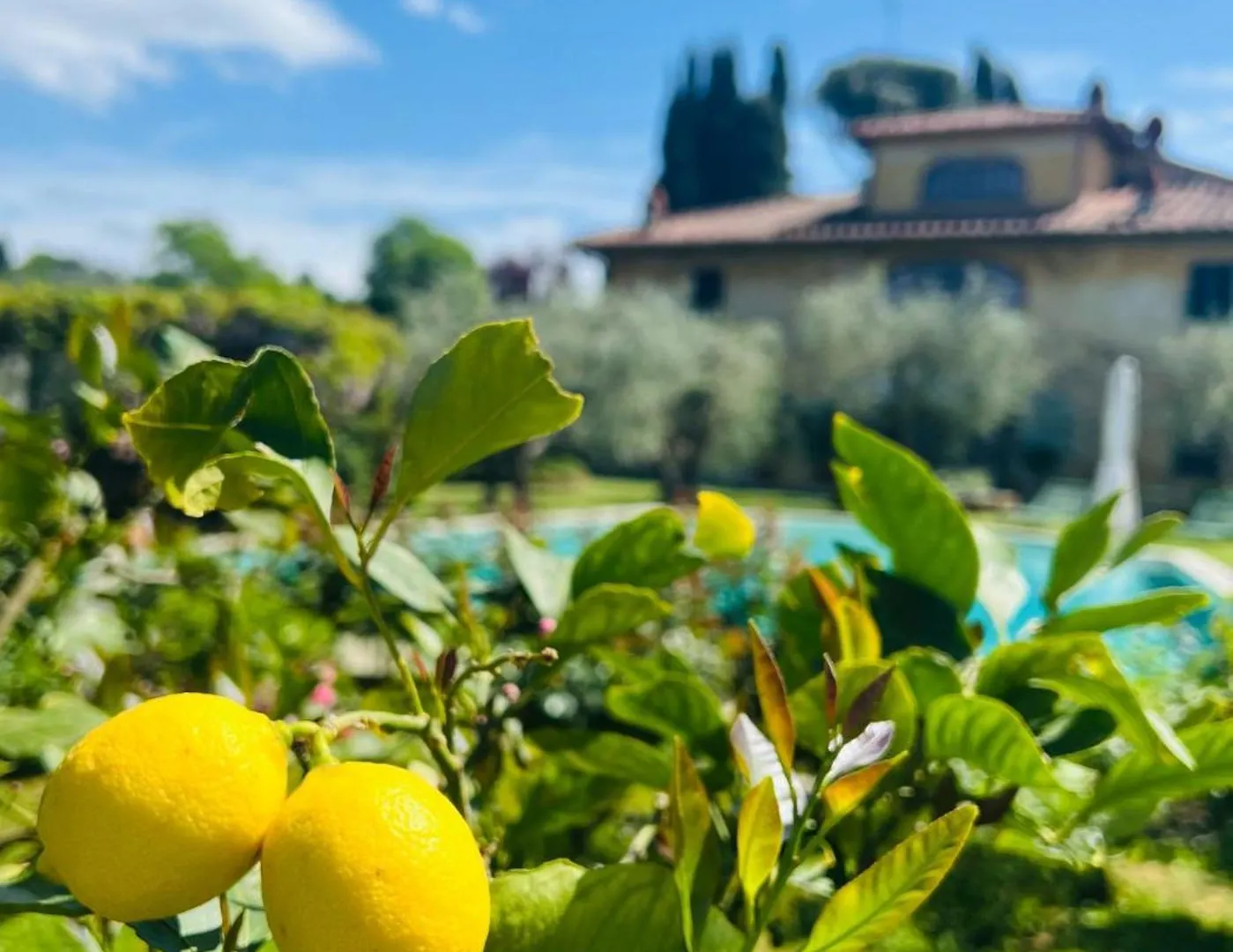 Villa Giotto Florence Pozzolatico